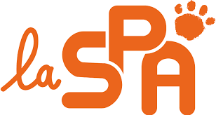 Logo Boutique SPA